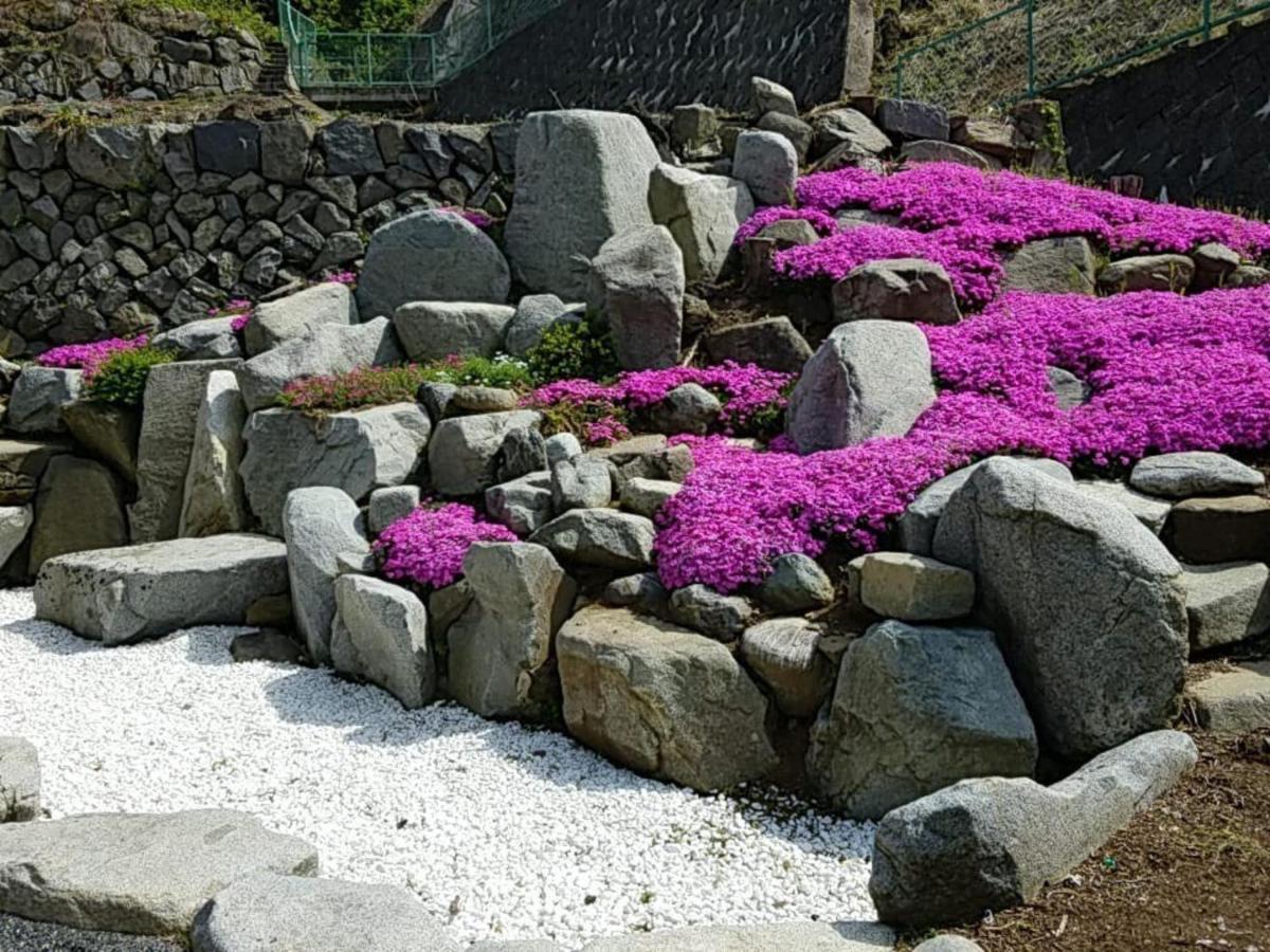 Siawase No Yado Shared With Host - Vacation Stay 68283V Fuefuki Eksteriør bilde